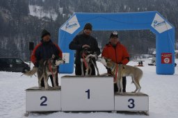 Lenk 2012 SM